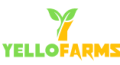 final logo